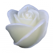 Ivoor roos figuurkaars met vanille geur